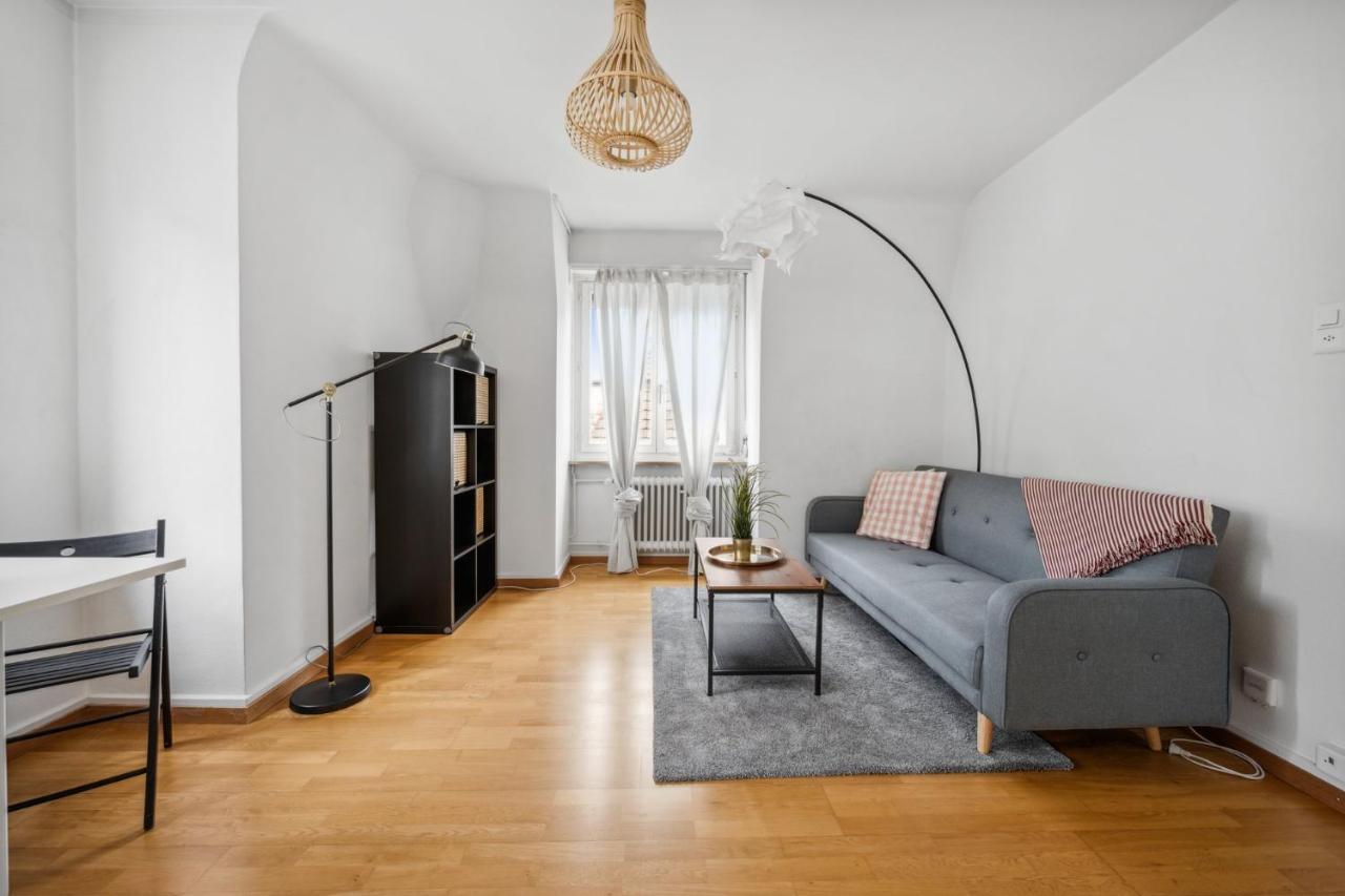 Cozy Apartment In The Heard Of Zurich Sonnegg Zurique Exterior foto